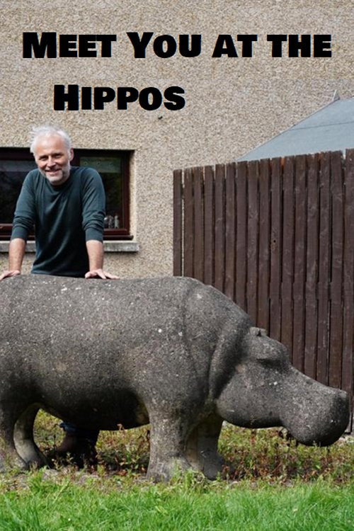 Meet You at the Hippos (2021) movie poster