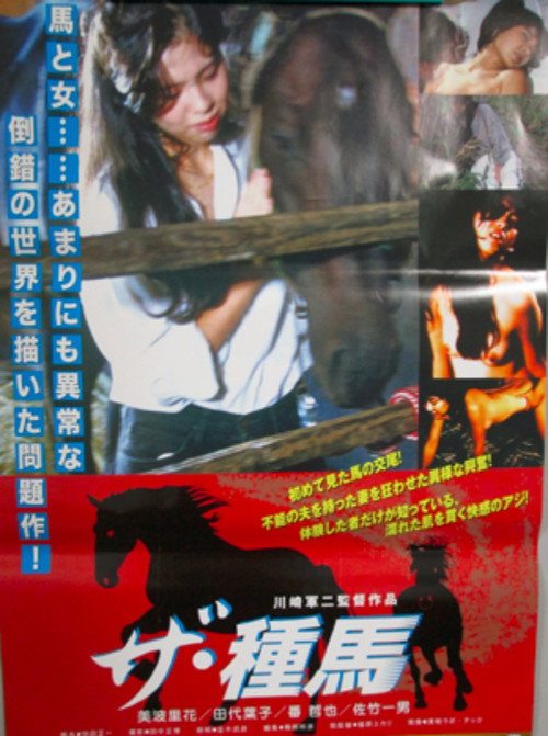 The Stallion (1986) movie poster