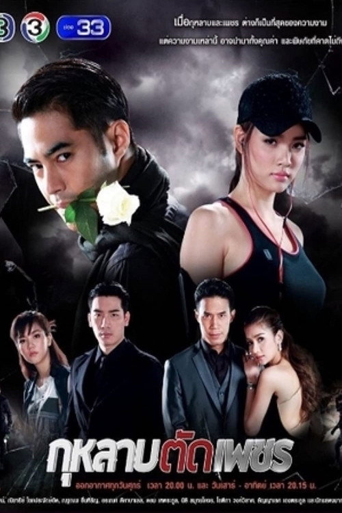 Rose Cuts Diamond (2016) TV show poster