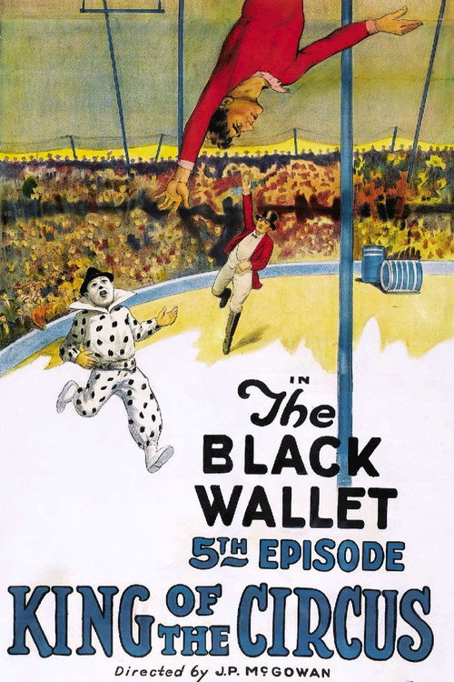 King of the Circus (1920) movie poster