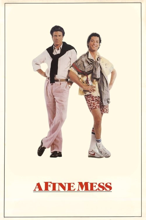 A Fine Mess (1986) movie poster