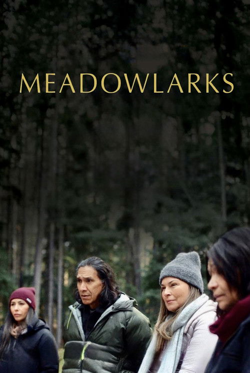 Meadowlarks (2025) movie poster