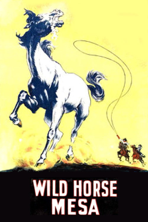 Wild Horse Mesa (1925) movie poster