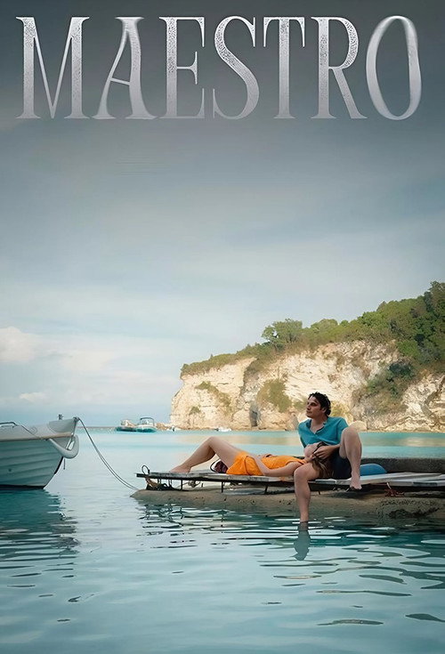 Maestro in Blue (2022) TV show poster
