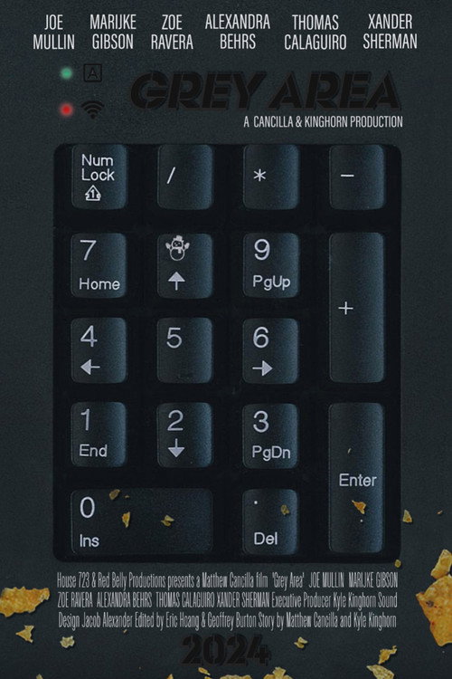 Grey Area (2025) movie poster