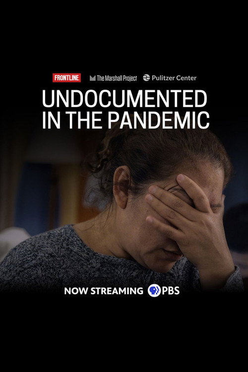 Undocumented in the Pandemic (2020) movie poster