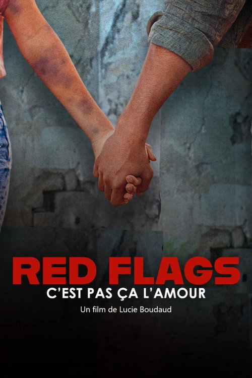 Red Flags – c’est pas ça l’amour (2025) movie poster