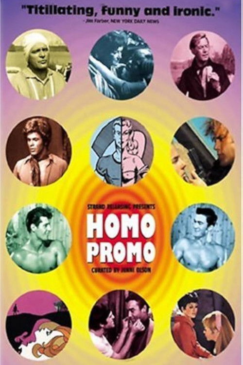 Homo Promo movie poster