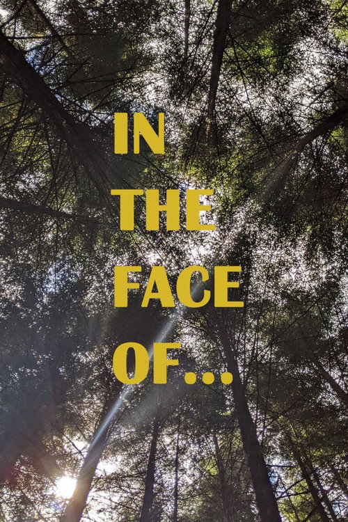 In the face of... (2022) movie poster