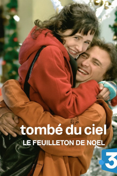 Tombé du ciel (2006) TV show poster