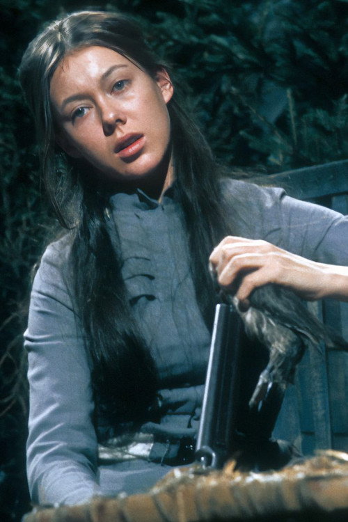 The Wild Duck (1971) movie poster