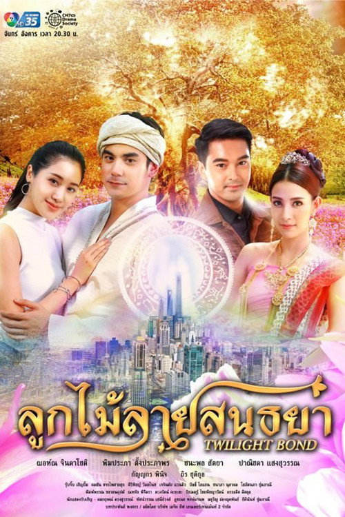 Twilight Bond (2018) TV show poster