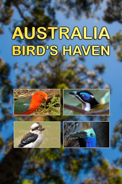 Australia, Bird's Haven (2014) movie poster