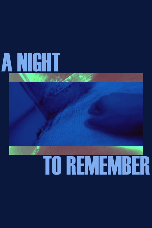 A Night to Remember (2022) movie poster