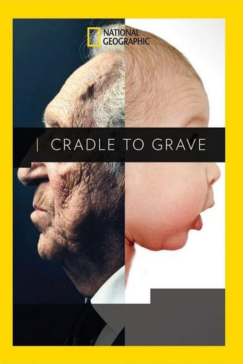 Cradle to Grave (2017) movie poster