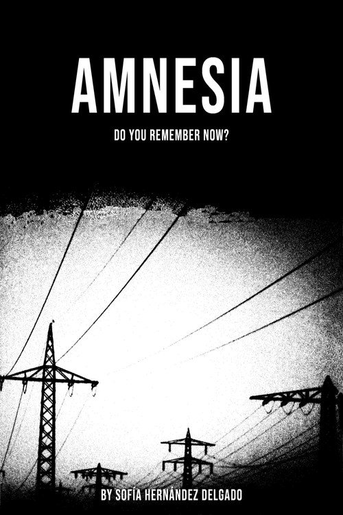 Amnesia (2024) movie poster