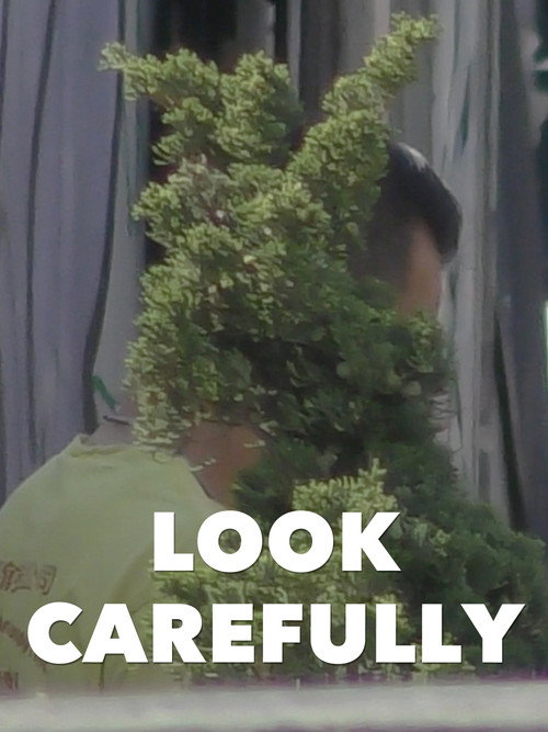 Look Carefully movie poster