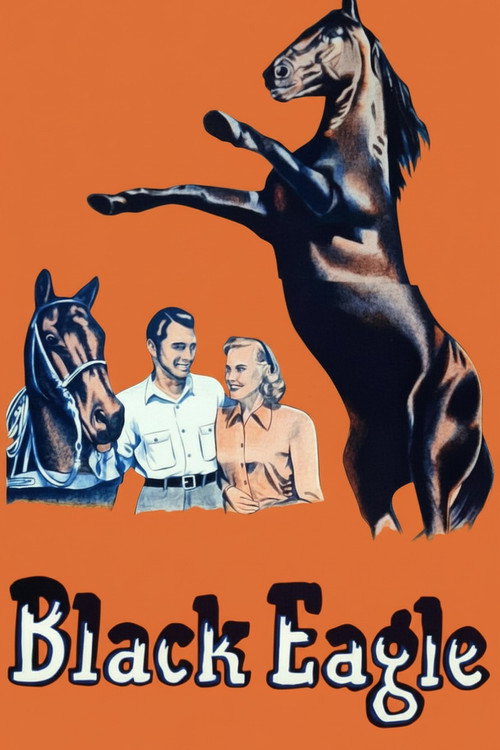 Black Eagle (1948) movie poster