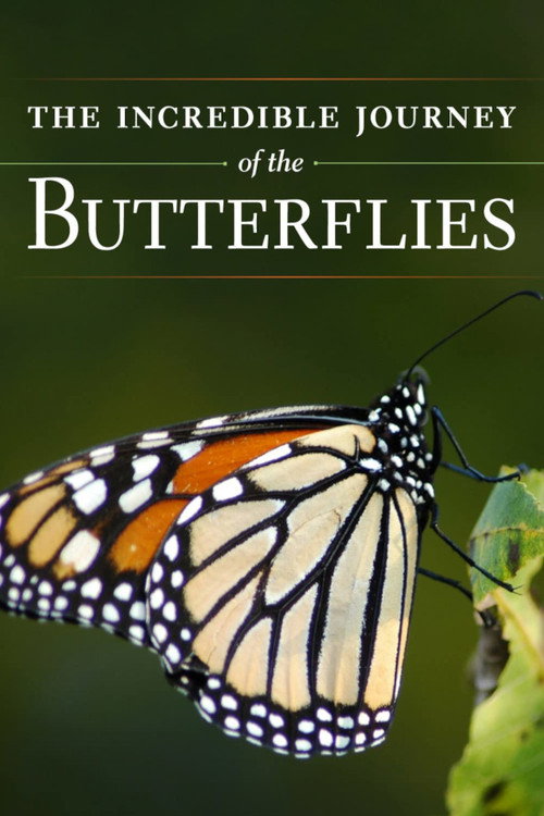 The Incredible Journey of the Butterflies (2009) movie poster