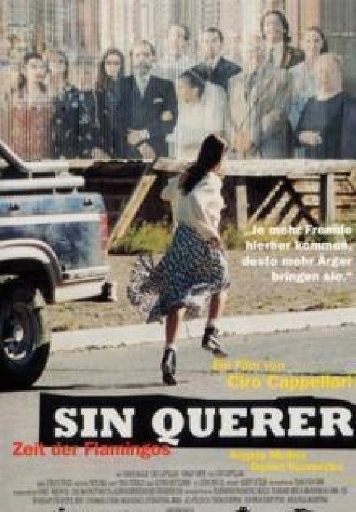 Sin querer (1997) movie poster