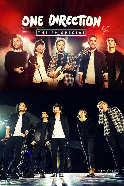 One Direction: The TV Special (2014) movie poster