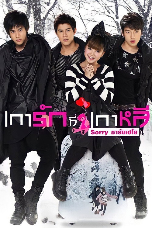 Sorry Saranghaeyo (2010) movie poster