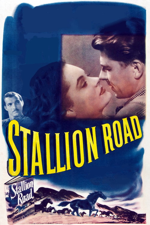 Stallion Road (1947) movie poster