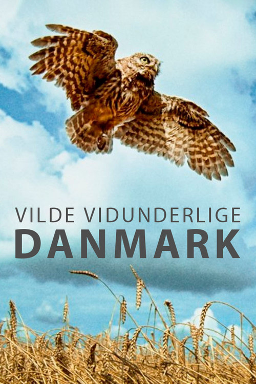 Wild and Wonderful Denmark (2020) TV show poster