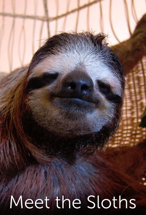 Meet the Sloths (2013) TV show poster