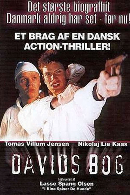 Davids bog (1996) movie poster