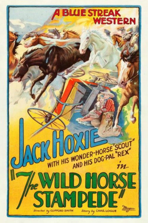 The Wild Horse Stampede (1926) movie poster