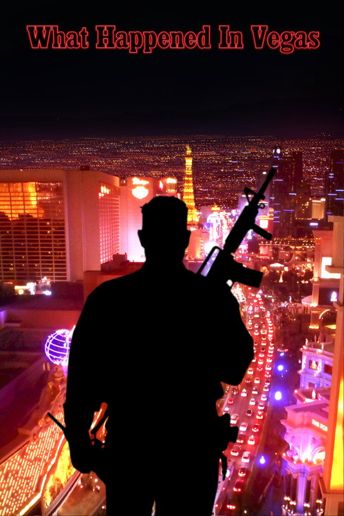 What Happened in Vegas (2017) movie poster