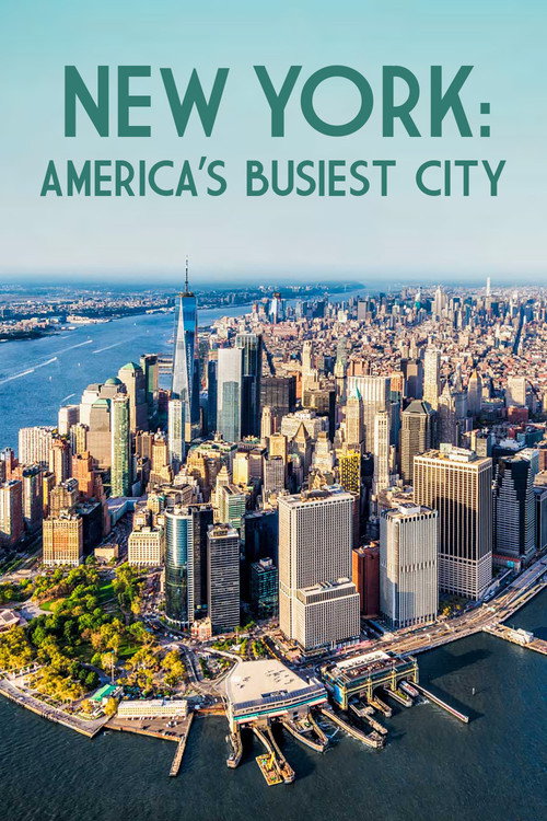 New York: America's Busiest City (2016) TV show poster