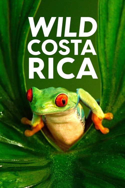 Wild Costa Rica (2000) movie poster