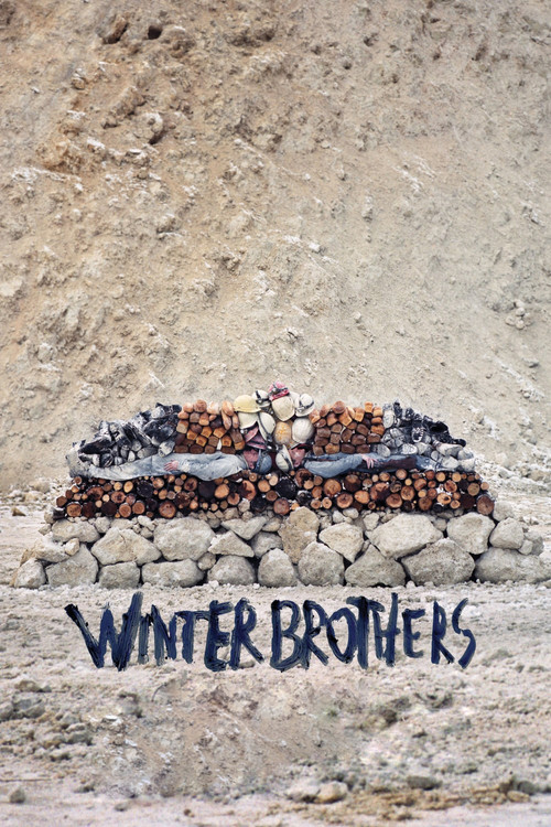 Winter Brothers (2017) movie poster