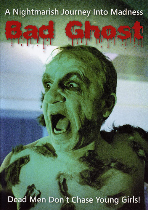 Bad Ghost (2008) movie poster