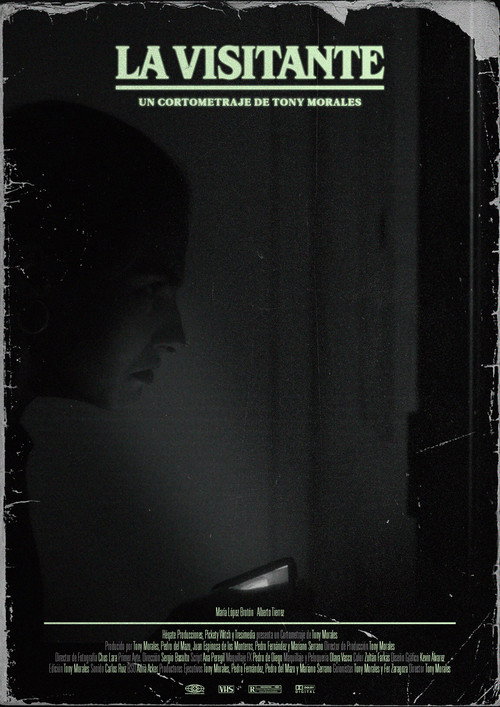 La visitante (2024) movie poster