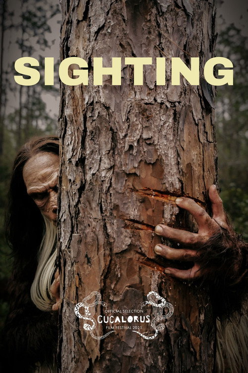 Sighting (2025) movie poster