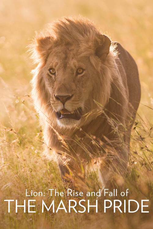 Lion: The Rise and Fall of the Marsh Pride (2022) movie poster