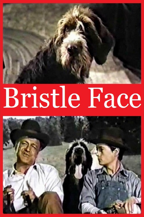 Bristle Face (1964) movie poster