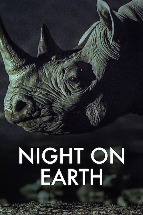 Night on Earth (2020) TV show poster