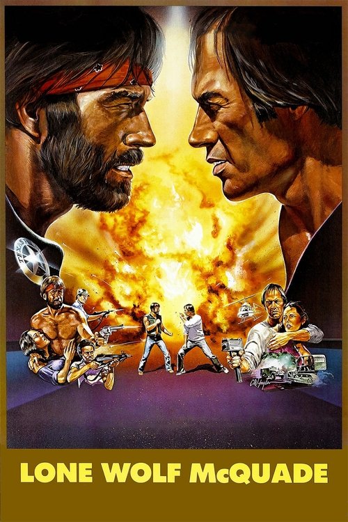 Lone Wolf McQuade (1983) movie poster