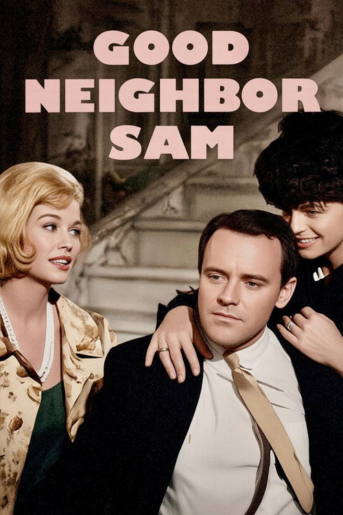 Good Neighbor Sam (1964) movie poster