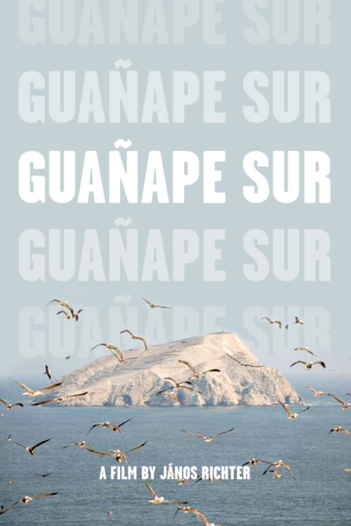 Guañape sur (2011) movie poster