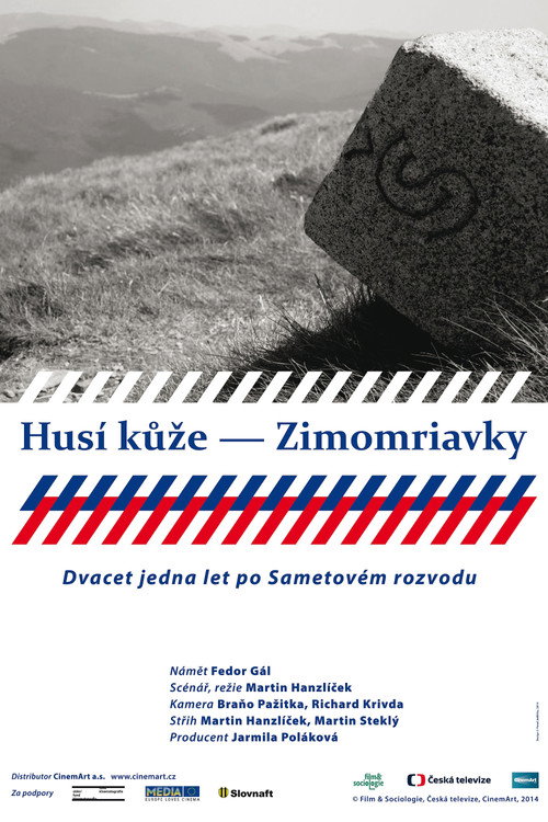 Husí kůže – Zimomriavky (2014) movie poster