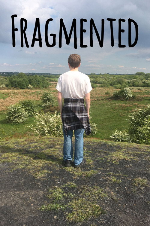 Fragmented (2021) movie poster