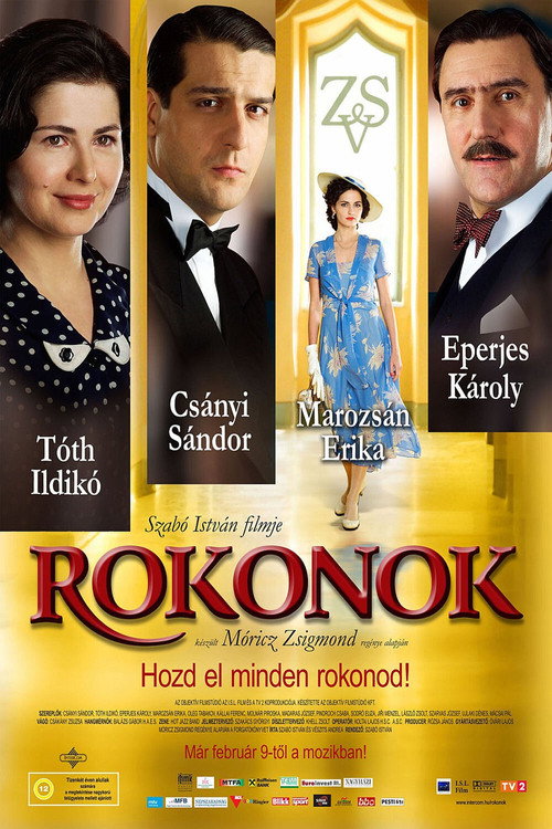 Rokonok (2006) movie poster