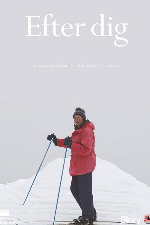 After You (2013) movie poster