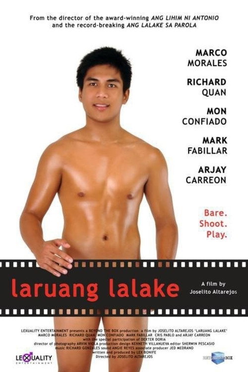 Boy Toys (2010) movie poster