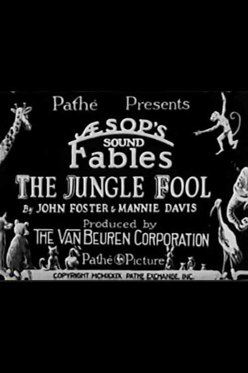 The Jungle Fool (1929) movie poster